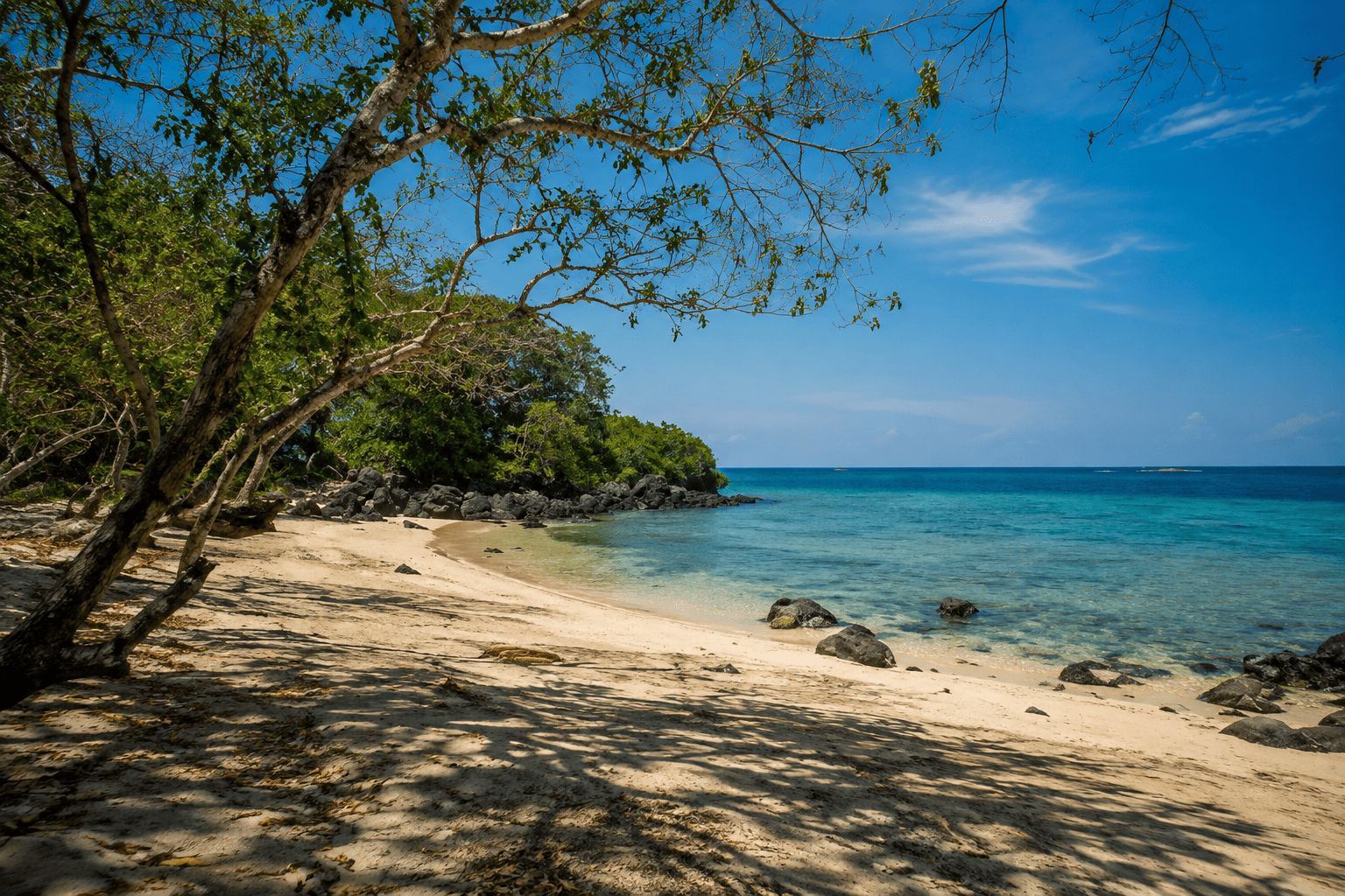 Pantai Bama, Oase Tersembunyi di Balik Savana Taman Nasional Baluran