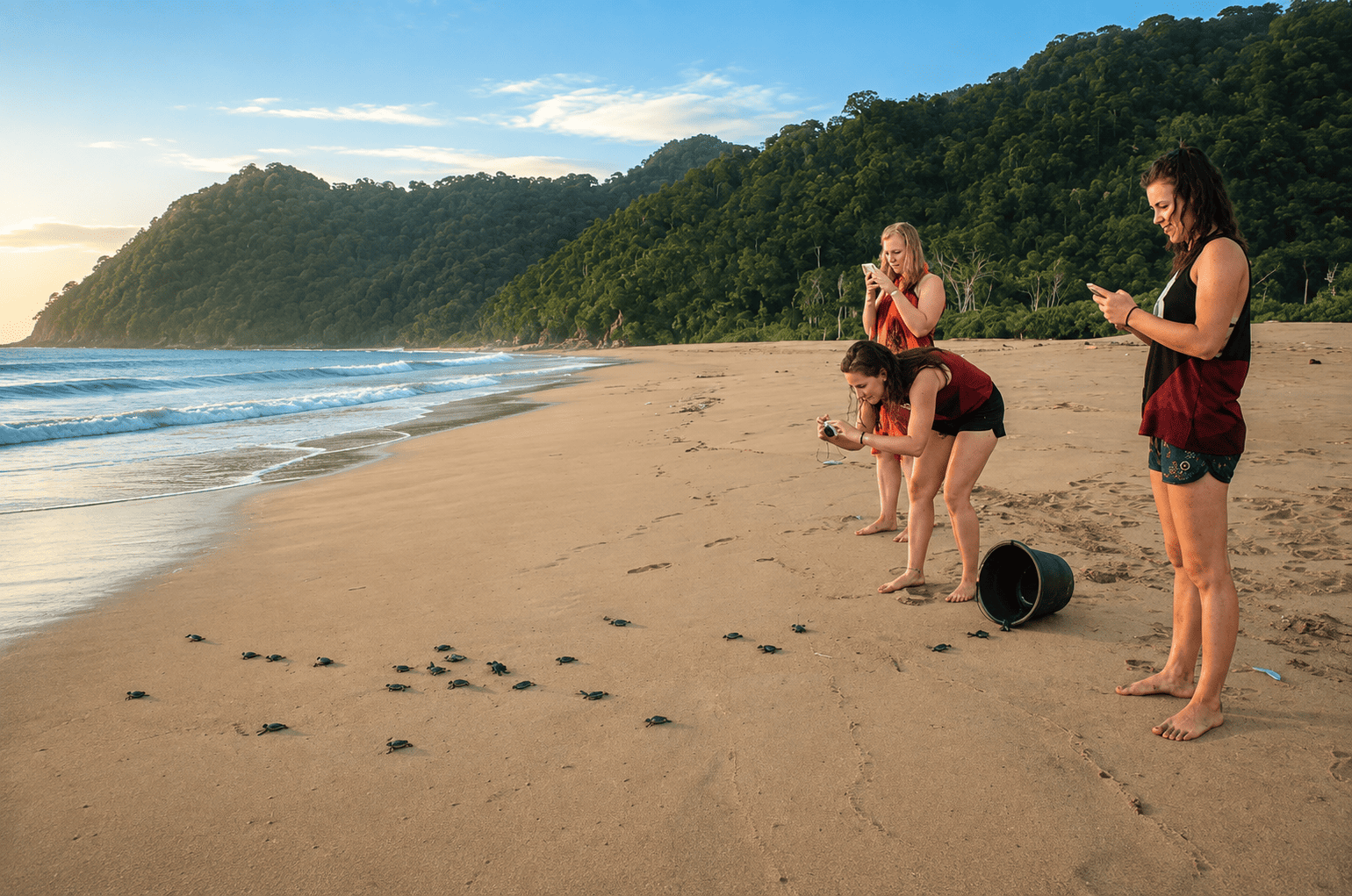 Pantai Sukamade, Saksi Penyu Raksasa Bertelur di Ujung Selatan Banyuwangi