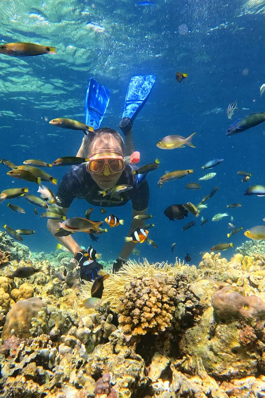 Private Trip 3D2N (Green Island, Pulau Bedil, Menjangan, Tabuhan, Baluran & Kawah Ijen)