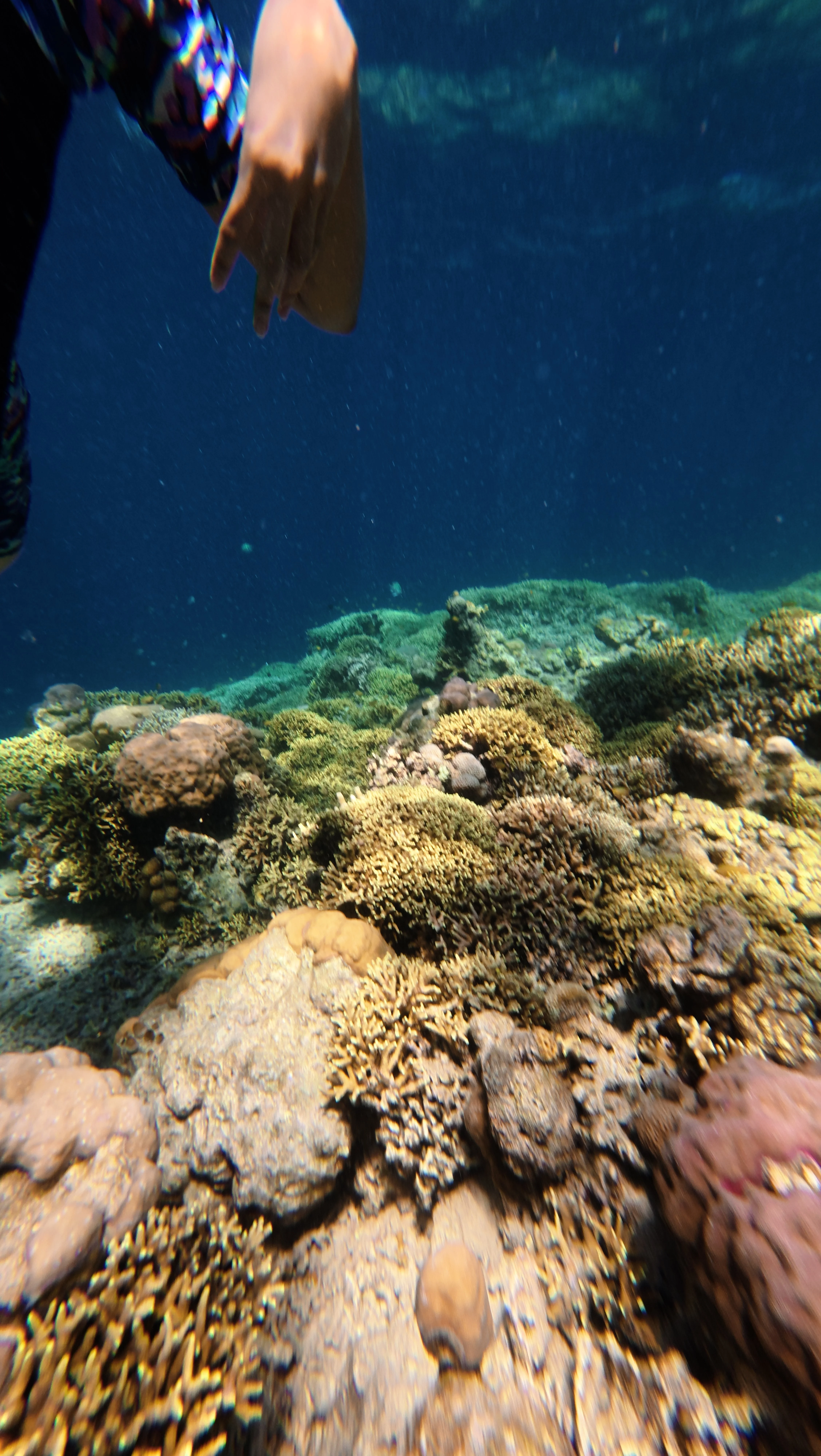 Bangsring Underwater Banyuwangi