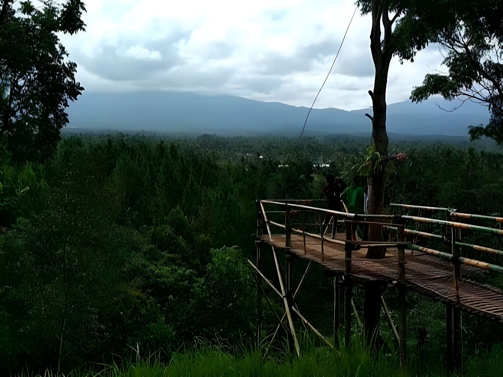 Bukit Mondoleko Banyuwangi