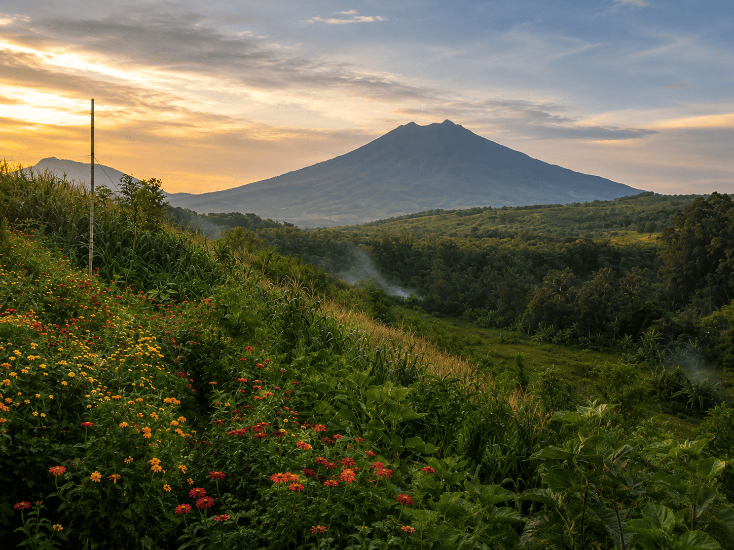 Puncak Asmoro Banyuwangi