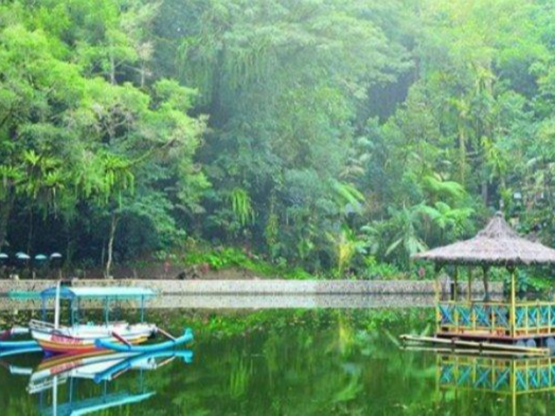Rowo Bayu Banyuwangi