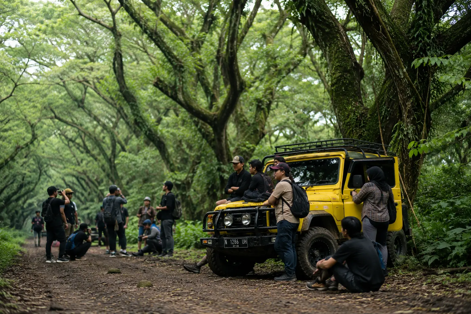 Jeep Trip Kawah Ijen & Hutan Djawatan