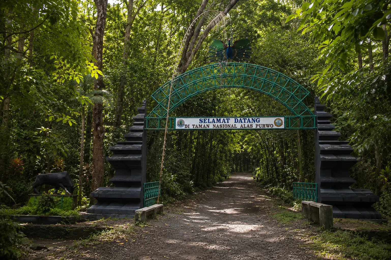 One Day Trip Opsi A- Djawatan – Taman Nasional Alas Purwo – Pulau Merah